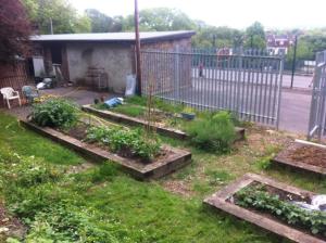 photo of allotments